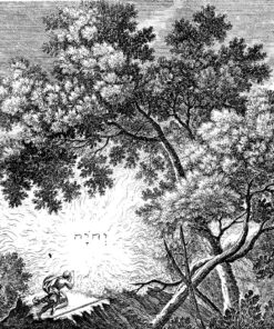 Fototapeta Under The Tree