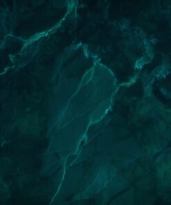 Fototapeta Tmavě zelená 2