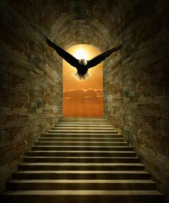 Fototapeta Pták v tunelu