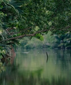 Fototapeta Vodní hladina