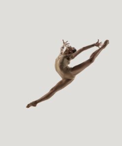 Fototapeta New Ballet