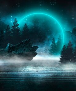 Fototapeta Fantastická noc