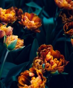 Fototapeta Podzimní barvy 4