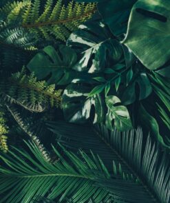 Fototapeta Velké listy 3