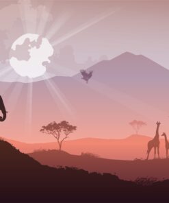 Fototapeta Africké slunce