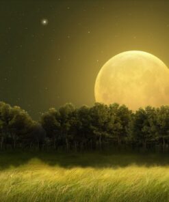 Fototapeta Žlutý měsíc