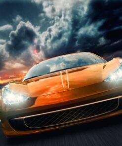 Fototapeta Noční kůň