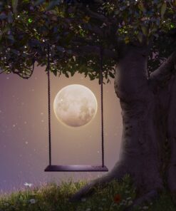 Fototapeta Moon Swing 2