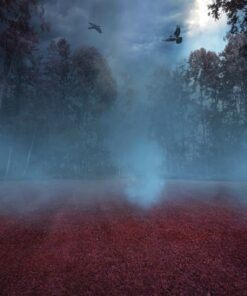 Fototapeta White Fog