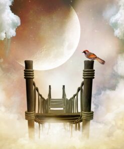 Fototapeta Moon Bridge