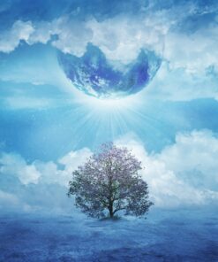 Fototapeta Poslední strom