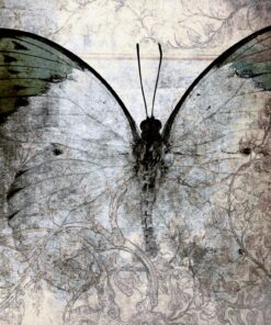 Fototapeta Velký motýl