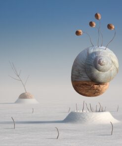 Fototapeta Winter Snail