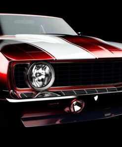 Fototapeta Červená krása