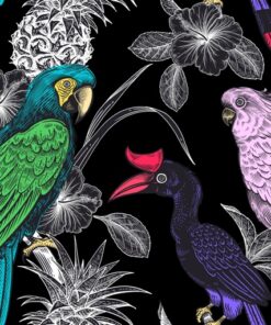 Fototapeta Birds of Paradise 2