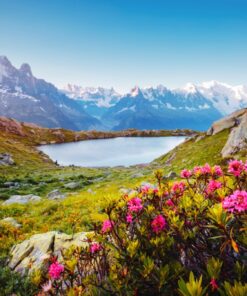 Fototapeta Mont Blanc