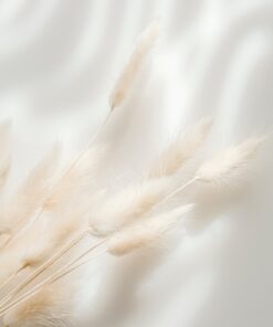 Fototapeta Hedvábí a tráva