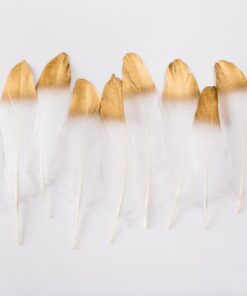 Samolepka na zeď Golden Tips