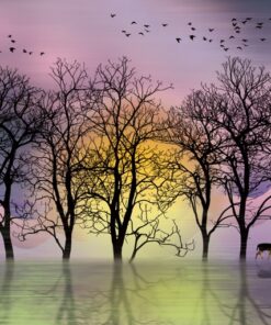 Fototapeta Obraz přírody