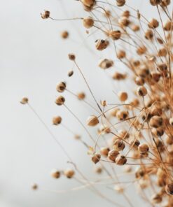 Samolepka na zeď Zlaté koule