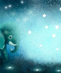 Fototapeta Slon a hvězdy