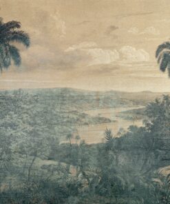 Fototapeta Early Engraving