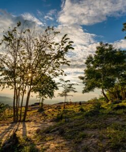 Fototapeta Early Morning