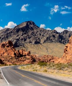 Fototapeta In the Wasteland