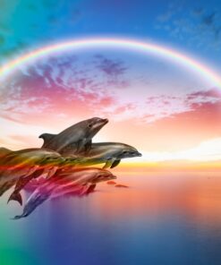 Fototapeta Skupina delfínů