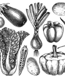 Fototapeta Kreslení zeleniny