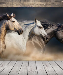 Obrázek běžících koní 3