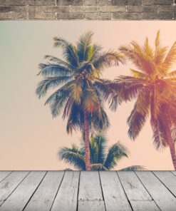 Obrázek kokosové palmy