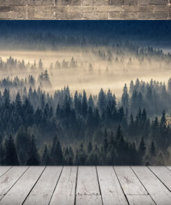 Obraz zamlženého údolí