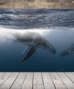 Obrázek podvodního světa
