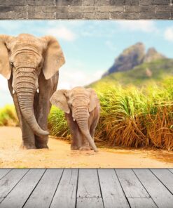 Obrázek Walking Elephants