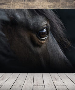 Obrázek Koňské oko