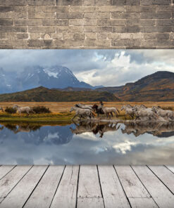 Chile Obrázek krajiny