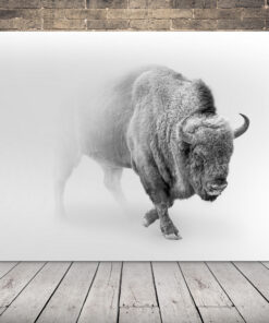 Obrázek bizona v mlze