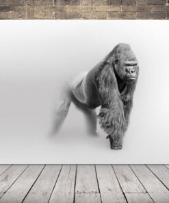 Obrázek Gorily V Mlze