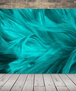 Obrázek modrého peří 2