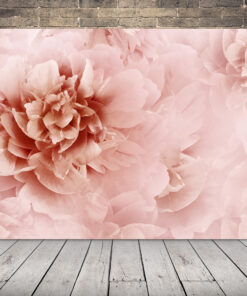 Obrázek pivoňkových růží