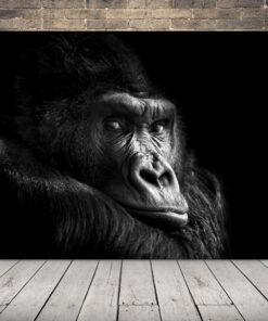 Obraz zamyšlené gorily