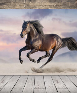 Obrázek cválajícího koně