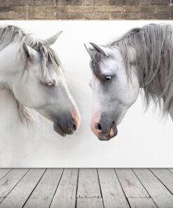 Obrázek bílých koní 2