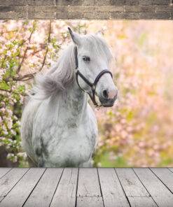 Obrázek Koně Mezi Květinami