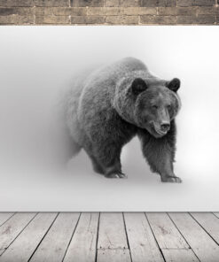 Obrázek medvěda v mlze