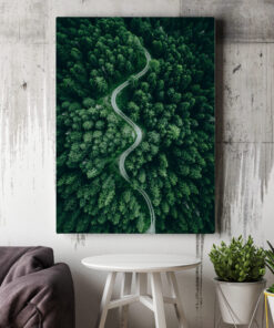 Obrázek lesní cesty