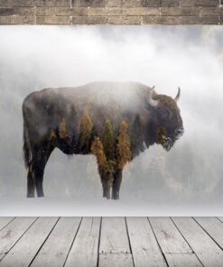 Obrázek zubra evropského