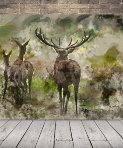 Obrázek srnce a jelena