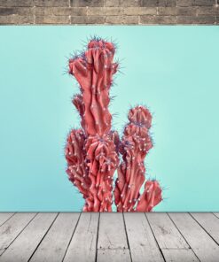 Obrázek červeného kaktusu